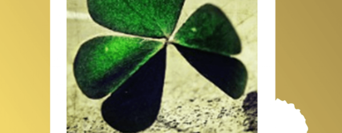 La Saint Patrick 2017